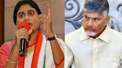 YS Sharmila: చంద్రబాబు చెబుతున్న మాట ఈ దశాబ్దపు అతి పెద్ద జోక్.!.  వైఎస్ షర్మిల సంచలన వ్యాఖ్యలు..