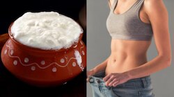 Weight Loss: జిమ్ చేయాల్సిన పనేలేదు..పెరుగులో ఇది కలిపి తింటే కొవ్వు వెన్నలా కరిగిపోతుంది..
