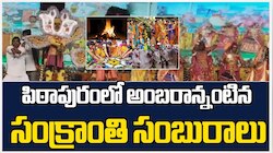 Sankranti Festival: పిఠాపురంలో అంబరాన్నింటిన సంక్రాంతి సంబురాలు..