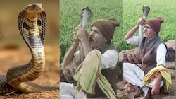 Video Viral: నాగుపామును పిసికేస్తా అంటూ ఫోజులు.!. ఇంతలో షాకింగ్  ఘటన.. ఓళ్లు గగుర్పొ