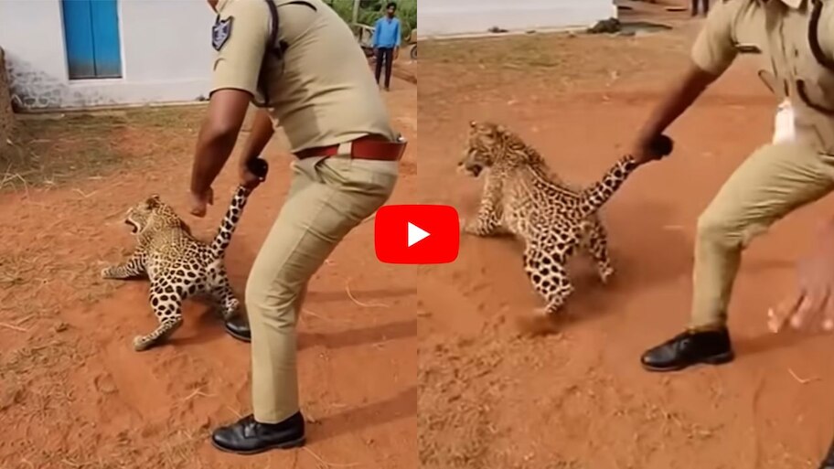 Police Grabbing Leopard By Tail AI Video | చిరుత పులి తోకని పట్టుకుని ...