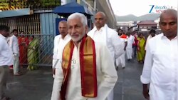 Tirumala: తిరుమల శ్రీవారిని దర్శించుకున్న మాజీ ఎంపీ విజయసాయి రెడ్డి