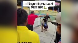 Ind Vs Pak Match: మ్యాచ్‌కు ముందు పాకిస్తాన్ డగౌట్‌లో పాము.. వీడియో వైరల్..!