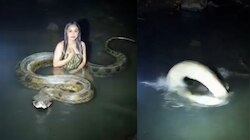 Python Attack Video: ఓర్నాయనో.. రెప్పపాటులో యువతిపై భారీ కొండ చిలువ దాడి.?.. ఓళ్లు గగుర్పొడిచే వీడియో..