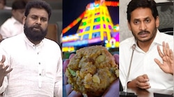 Pawan Kalyan: శ్రీవారితో పెట్టుకుంటే మీ తరాలే లేచిపోతాయ్.!.. లడ్డు వివాదంపై పవన్ 