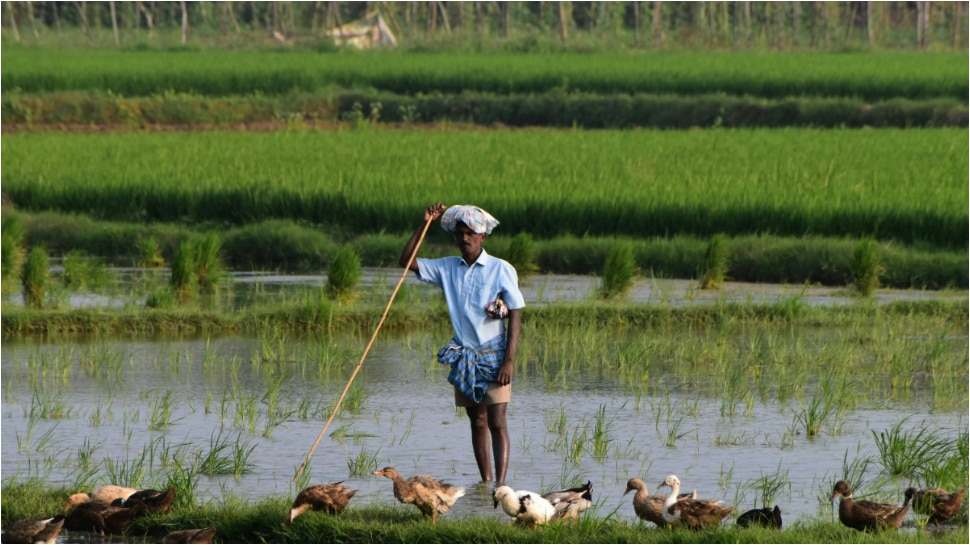 https://telugu.cdn.zeenews.com/telugu/sites/default/files/2026/02/27/560050-pmkisanfarmerid.jpg