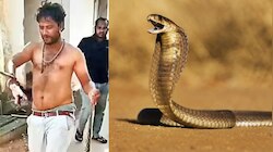 Nellore Snake bite: నెల్లూరులో వింత ఘటన.. కాటేసిన పాముతో ఆస్పత్రికి వచ్చిన బాధితుడు
