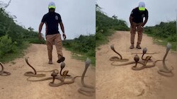 Snakes Video: ఇంత వైలెంట్‌గా ఉన్నాడెంట్రా.!. కుప్పల కొద్ది పాములతో డెంజర్ స్టంట్ లు