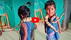 Python Snake Video: వామ్మో.. పైథాన్ స్నేక్‌ను మెడలో వేసుకున్న చిన్నారి.. వీడియో ఇదే చూడండి!