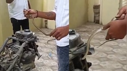 Snake in Scooty Video: స్కూటీలో దూరి నాగు పాము హల్ చల్.. వీడియో చూస్తే నోరెళ్ల బెట్ట