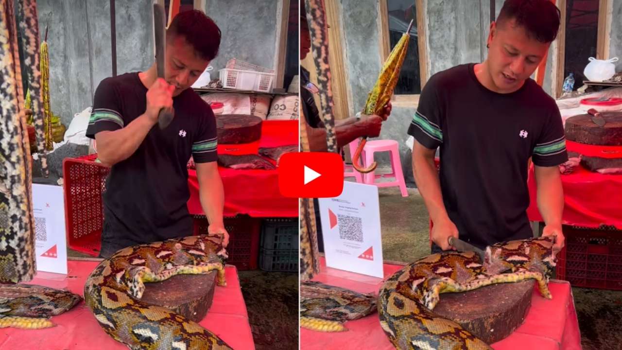 Giant Python Meat Sold Openly Like Chicken And Mutton Viral Video ...