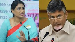 YS Sharmila: ఈ జాబ్ క్యాలెండర్ అంతా తుస్సు.!.. ఏపీ సీఎం చంద్రబాబుపై నిప్పులు చెరిగిన