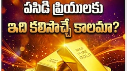 Gold Market Crash: 17 ఏళ్ల తర్వాత భారీగా పడిపోయిన గోల్డ్ రేట్స్.. తులం పసిడిపై ఎంత లాభం వచ్చిందంటే? 