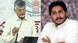CM Chandrababu naidu:  వైసీపీ నాశనం చేయాలని చూస్తే, మేం శాసనం చేసి చూపించాం.!. అమరా