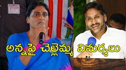 YS Sharmila: అన్న వైఎస్‌ జగన్‌ షర్మిల ఆగ్రహం.. వైఎస్సార్‌ ఆశయాలకు వారసుడు కాదు