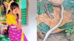 Birthday As Death Day: బర్త్‌డేను డెత్‌ డేగా మార్చిన పాము.. బర్త్ డే ఆనందంలో మృతి