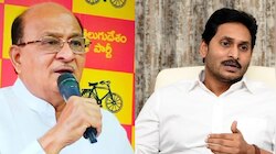 ఎమ్మెల్యే గోరంట్ల బుచ్చయ్య చౌదరి నోటా రప్పా.. రప్పా.. ఎందుకీ ఈ కామెంట్స్..!