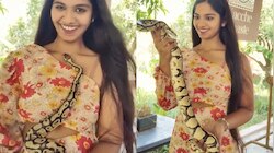 Video Viral: ఓర్నాయనో.. కొండ చిలువతో యువతి సరసాలు.!. నెట్టింట హల్ చల్ చేస్తున్న వీడియో.. 