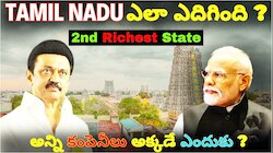 Tamil Nadu: దటీజ్ స్టాలిన్.. ఓడినా నువ్వు తోపు బాసూ.. మోదీ హవాలోనూ దేశంలోనే రెండో అత్యంత సంపన్న రాష్ట్రంగా తమిళనాడు ఎలా నిలిచింది..?? 