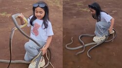 Video Viral: బాప్ రే.. కుప్పల కొద్ది పాములను వట్టి చేతులతో పట్టుకున్న క్యూట్ బాలిక..