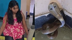 Snake Video: అరె వావ్.. బుసలు కొడుతున్న నాగుపామును ఎంత సింపుల్గా పట్టుకుంది.. వీడియో