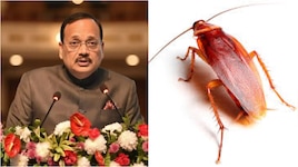 మీడియా.. సోషల్ మీడియాలో రెచ్చిపోయే వారు బొద్దింకల లాంటివాళ్లు...