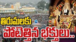 Tirumala VIPs Darshan: వేసవి సెలవుల ఎఫెక్ట్‌.. తిరుమల ఆలయానికి వీవీఐపీల రద్దీ