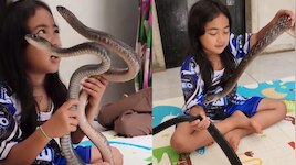 Snake Video: బాప్ రే.. బుడ్డదెంట్రా మరీ ఇంత వైలెంట్‌గా ఉంది.. ఏకంగా రెండు పాములతో