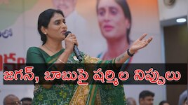 YS Sharmila: వైఎస్‌ జగన్, చంద్రబాబు కలిసి ఏపీని భ్రష్టు పట్టించారు: వైఎస్‌ షర్మిల
