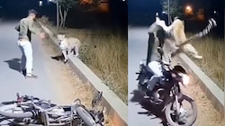 Leopard Attack Video: నువ్వు తోపు భయ్యా.. దాడి చేసిన చిరుతకే సుస్సు పోయించిన బైకర్..