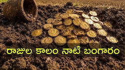 Gold Treasure: భూమిని తవ్వితే 'చక్రవర్తుల' నాటి బంగారం నాణేలు ప్రత్యక్షం.. గుప్తనిధి విలువ ఎన్ని కోట్లు తెలుసా?