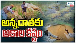 Telangana Paddy Loss: అన్నదాతను నిండా ముంచిన అకాల వర్షాలు.. తెలంగాణ రైతుల అరిగోస.. 