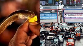 Hyderabad Chepa Prasadam: హైదరాబాద్ వాసులకు బిగ్ అలర్ట్... చేప ప్రసాదం వేళ ట్రాఫిక్
