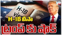 H1B Visa: హెచ్1బీ వీసాల విషయంలో ట్రంప్ సర్కార్ కు ఫెడరల్ కోర్టులో మరో ఎదురు దెబ్బ.. 