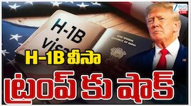 H1B Visa: హెచ్1బీ వీసాల విషయంలో ట్రంప్ సర్కార్ కు ఫెడరల్ కోర్టులో మరో ఎదురు దెబ్బ.. 