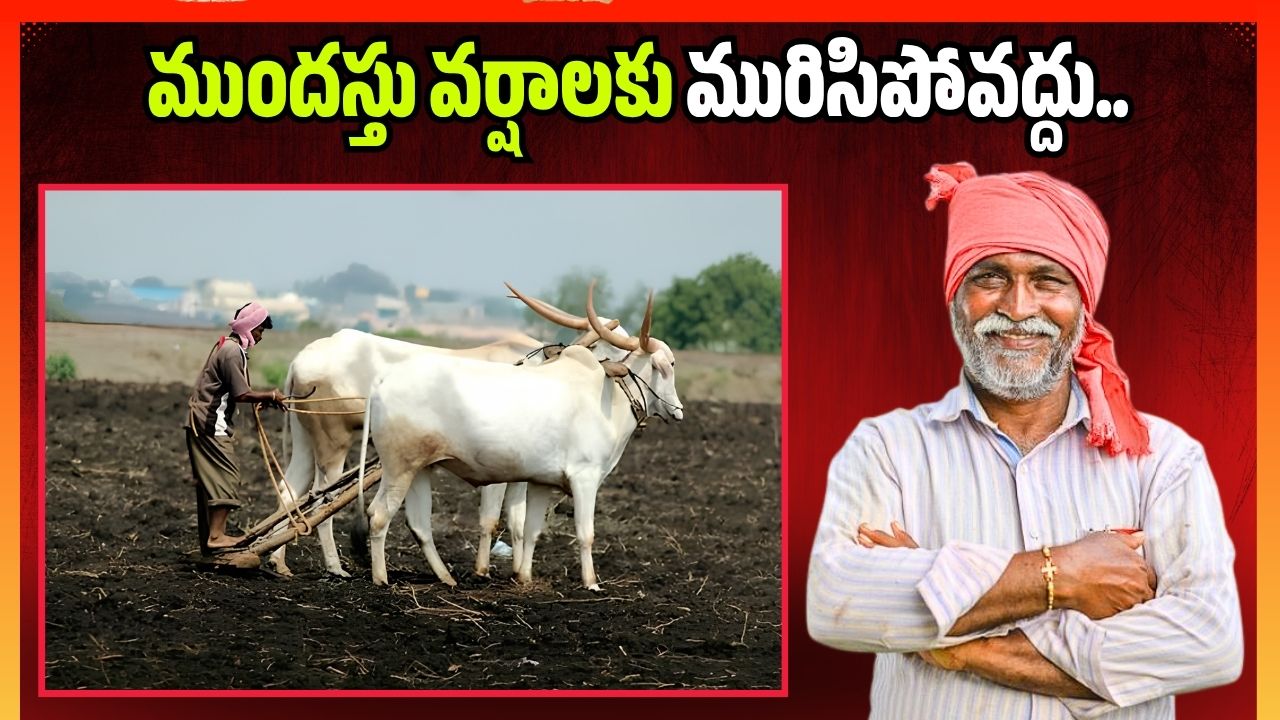 ముందస్తు వర్షాలకు మురిసిపోవద్దు.. విత్తనాలు విత్తితే ఆ తిప్పలు తప్పవు