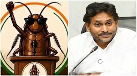 ఏపీలో కూడా కాక్రోచ్‌లు బయటకు వస్తాయి.. జగన్ మైండ్ బ్లాకింగ్ కామెంట్స్..!!