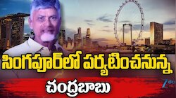 Chandrababu: ఏపీకి పెట్టుబడులే లక్ష్యం.. రేపు సింగపూర్‌కు సీఎం చంద్రబాబు