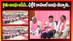 Vemulawada: రైతు బంధు ఆపేసి.. ఢిల్లీకి రాహుల్ బంధు తెచ్చారు.. కాంగ్రెస్‌పై KTR ఫైర్! 