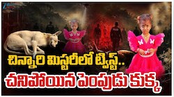 Pawan Kalyan: తుని చిన్నారి అదృశ్యంపై పవన్‌ కల్యాణ్‌ కీలక ఆదేశాలు.. 