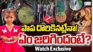 అపరిచితుడు ఎత్తుకెళ్తుంటే కుక్క అడ్డుకుందా? తండ్రి వెళ్లిన ఆ 15 నిమిషాల్లో..!