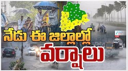 Telangana Rains: తెలంగాణలో ఆదివారం కుండపోత వర్షం.. ఈ జిల్లాలకు భారీ అలర్ట్‌