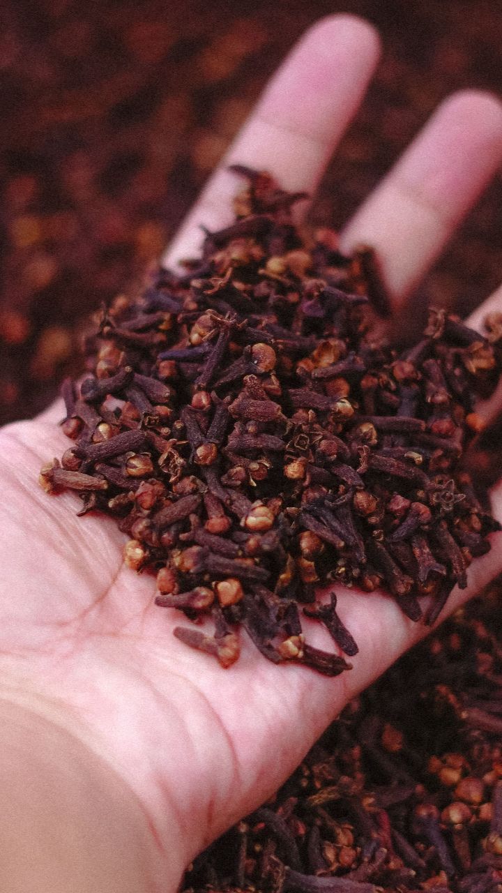 Cloves: లవంగాలను ఈ 3 పదార్థాలతో కలిపి తీసుకుంటే.. ఆ రోగాలు మాయం!