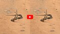 Two Snakes Fighting Video: నడిరోడ్డుపై నాగుపాముల ఫైట్.. వీడియో వైరల్.. 