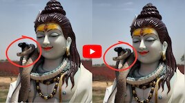  శివుడి మెడలో ప్రత్యక్షమైన భారీ కింగ్ కోబ్రా.. వీడియో ఇదే..