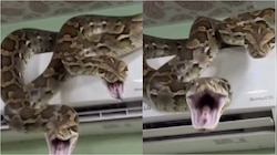 Python Video: బాప్ రే.. ఏసీ యూనిట్ మీద రెండు భారీ కొండ చిలువలు.. ఓళ్లు గగుర్పొడిచే వీడియో..