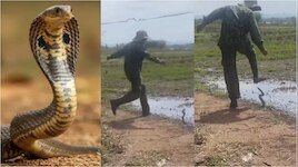 Man VS snake fighting Video: ఏంటీ భయ్యా ఇంత వైలెంట్‌గా ఉన్నాడు.. పామును కాలితో తన్ని