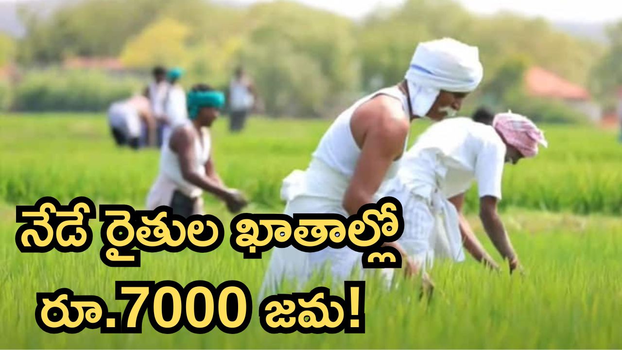 నేడే రైతుల ఖాతాల్లో రూ.7000 జమ! పేమెంట్ స్టేటస్ ఇలా చెక్ చేసుకోండి