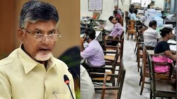 Andhra Pradesh:  ప్రభుత్వ ఉద్యోగులకు మరో శుభవార్త.. చైల్డ్ కేర్ లీవ్స్ అంశంలో  సీఎం చంద్రబాబు సంచలన నిర్ణయం..!