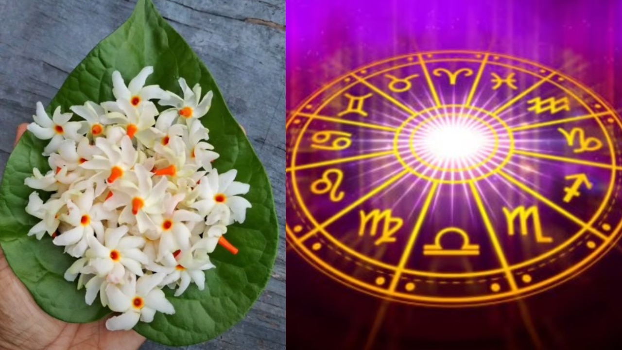 అరుదైన పారిజాత యోగం.. జూన్ 24 నుంచి చక్రం తిప్పనున్న రాశులు ఇవే.. మీరున్నారా